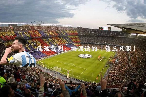 助理裁判：被误读的「第三只眼」